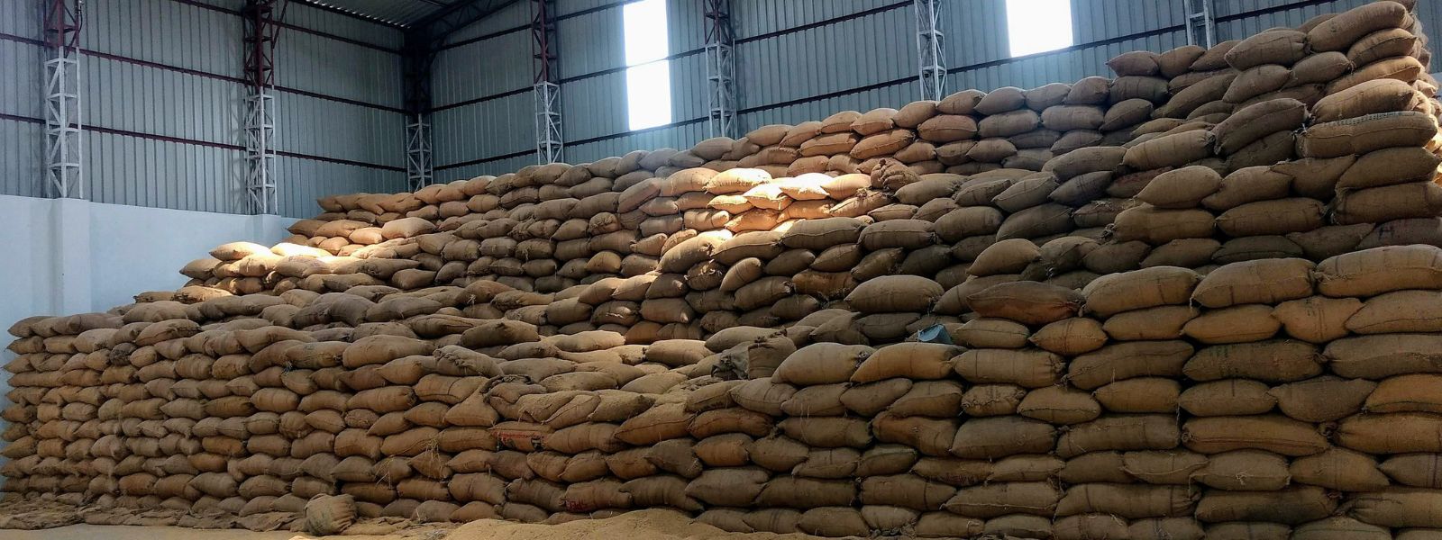 Wholesale Warehouses to Open for Paddy Purchases